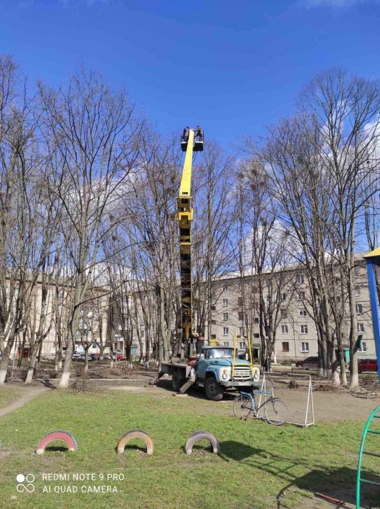 У Бурштині почали обрізати дерева (ФОТО) 13 170869738 4098210433572489 1430916333158705976 n