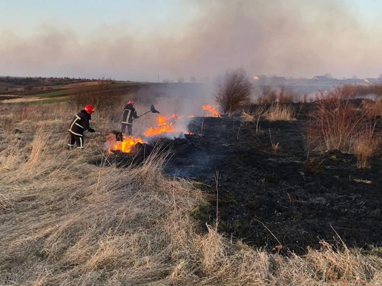 Вогнеборці ліквідовували 11 пожеж на Прикарпатті 1 171799165 3835462033240270 8365032820557039365 n 1