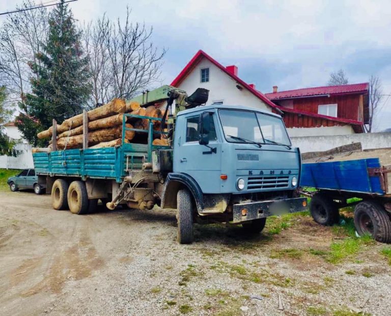 Поліцейські затримали крадіїв лісодеревини на Надвірнянщині (ФОТО) 9 175801951 5814648801909045 116163917308050777 n