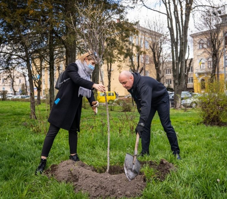 У Тернополі міський голова Сергій Надал садив сакури (ФОТО, ВІДЕО)