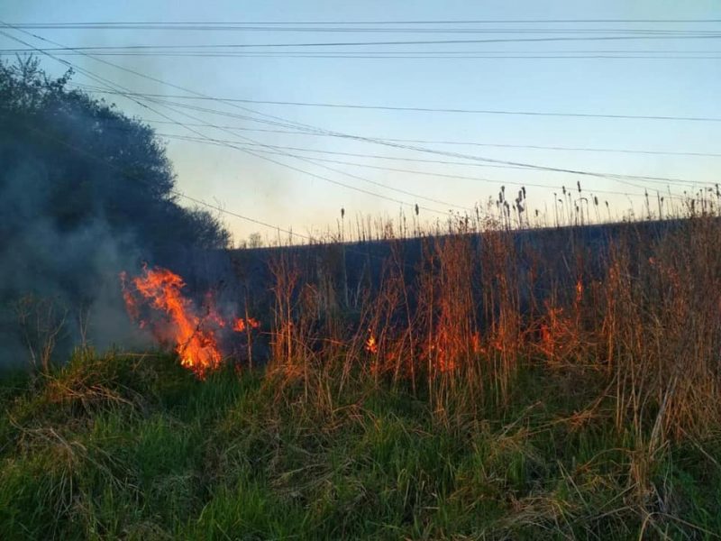 На Коломийщині рятувальники знайшли палія сухої трави: йому призначили штраф