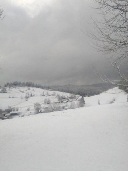 На Долинщині випав сніг (ФОТО)