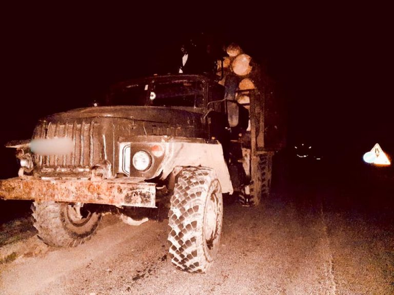 На Яремчанщині затримали вантажівку з краденими колодами ялини 4 185542703 5935117456528845 4260907352376579602 n