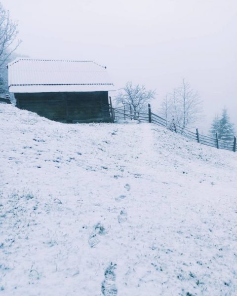 Зміна погоди: на Косівщині випад сніг (ФОТО)