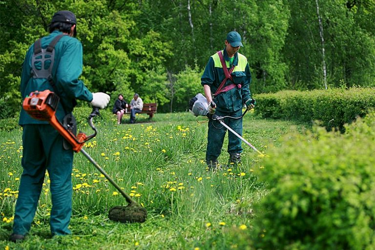 Мешканців Долини заохочують косити траву 3 Мешканців Долини заохочують косити траву