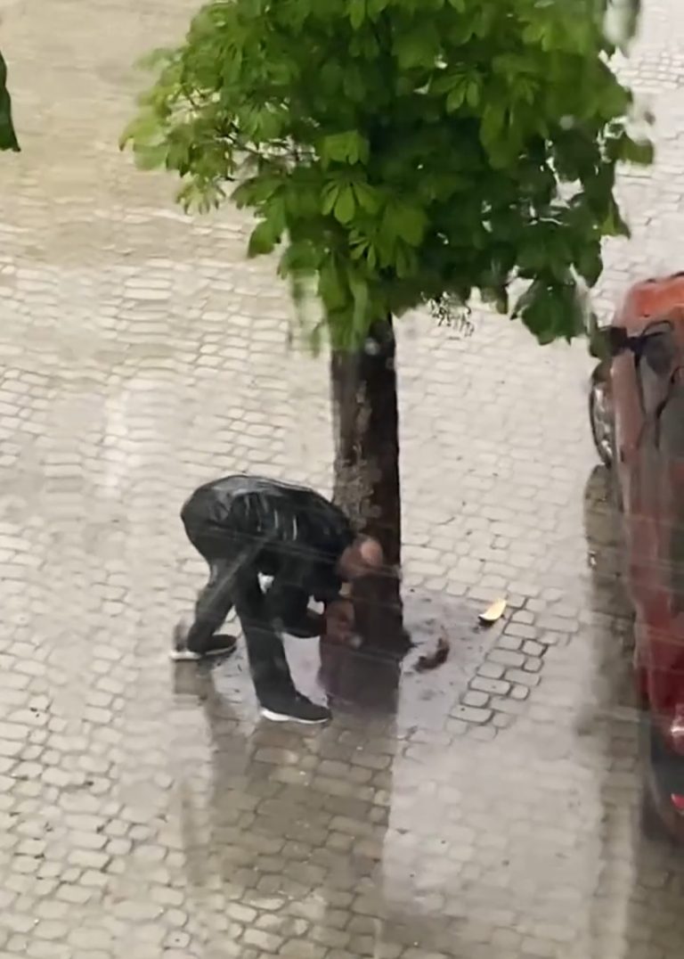 В центрі Франківська чоловік намагався зрізати дерево. На нього склали протокол (ВІДЕО) 6 IMG 20210518 190900