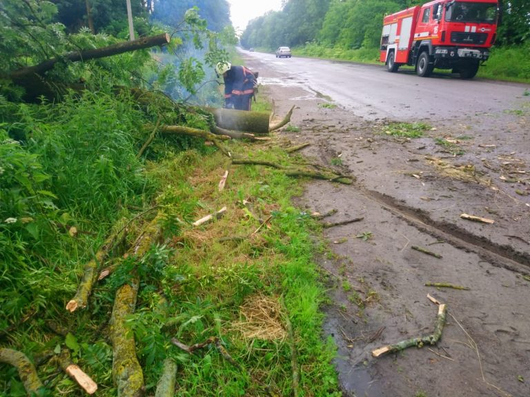 На Прикарпатті впали два дерева: знадобилася допомога рятувальників (ФОТО) 8 На Прикарпатті впали два дерева: знадобилася допомога рятувальників (ФОТО)