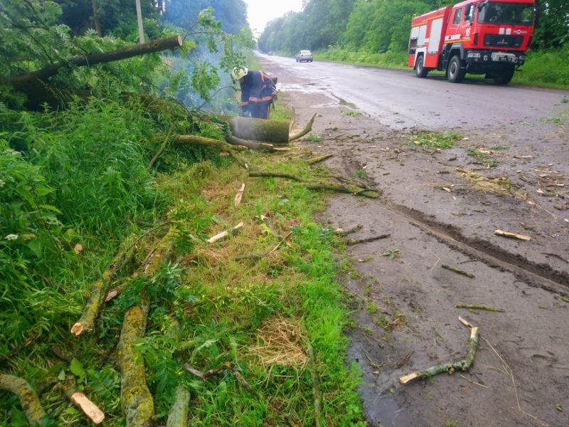 На Прикарпатті впали два дерева: знадобилася допомога рятувальників (ФОТО)