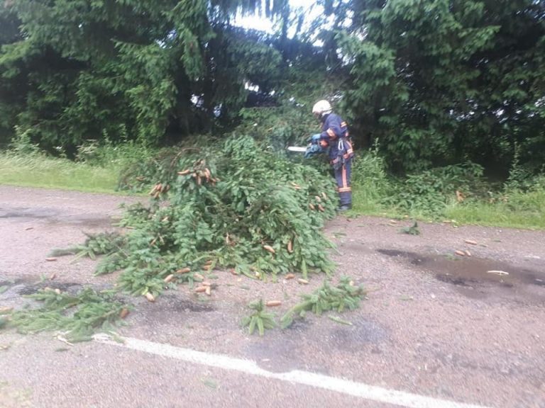 Наслідки негоди на Прикарпатті: повалені дерева та затоплені підстанції (ФОТО) 12 202806784 4038810592905412 2380427394322528364 n