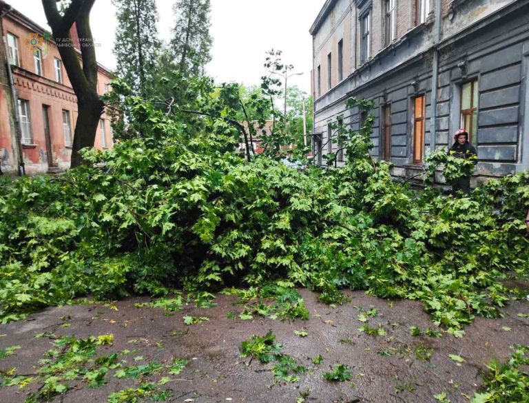 Наслідки негоди у Львові: оновлені дані від ДСНС (ФОТО)