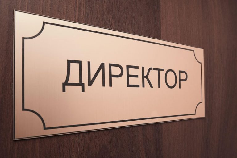 Vakansyya nomynalnyj dyrektor 1