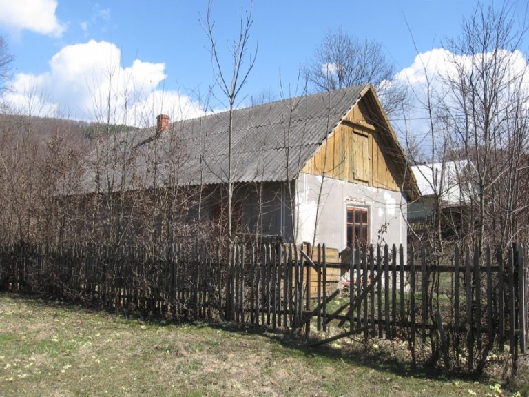На Косівщині продають ветлікарню
