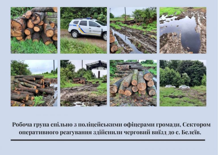 Зрізали понад 50 дубів: факт розкрадання лісу виявили у Долинській громаді (ФОТО) 4 Зрізали понад 50 дубів: факт розкрадання лісу виявили у Долинській громаді (ФОТО)