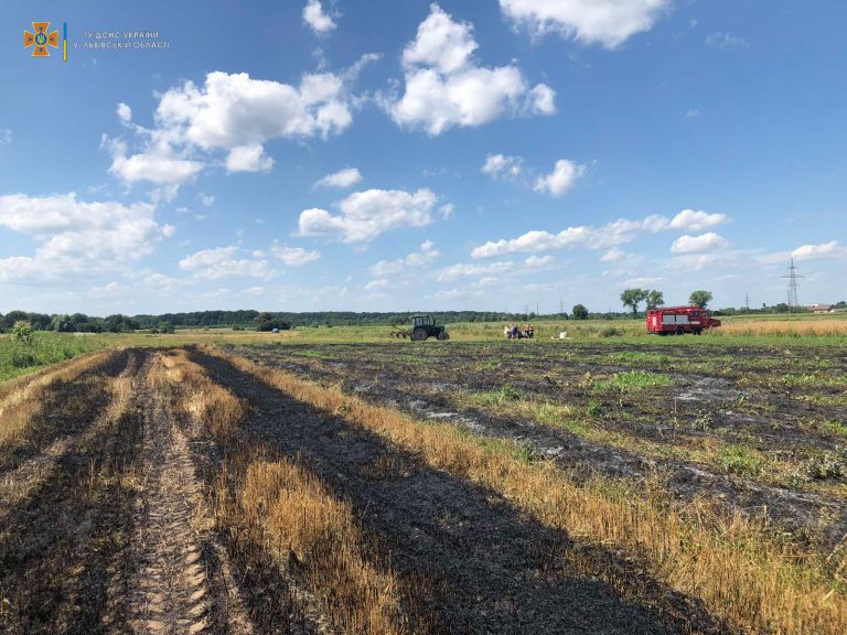 В Львівській області горіли пшениця та стерня (ФОТО) 1 В Львівській області горіли пшениця та стерня (ФОТО)