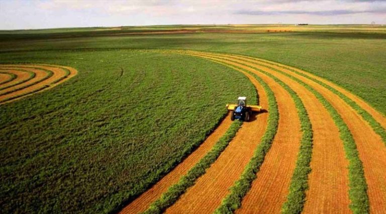 В Україні визначились області-лідери за продажем сільськогосподарської землі (ІНФОГРАФІКА) 4 Untitled 1 18
