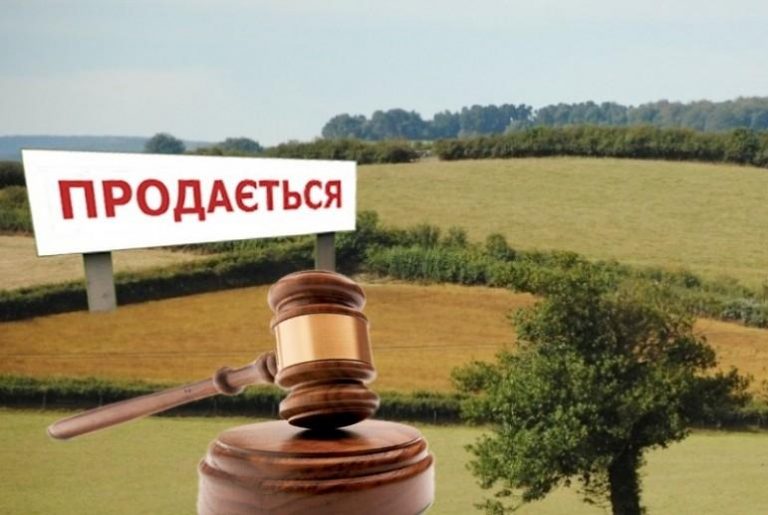В Україні відкрився ринок землі: 100 гектарів в одні руки