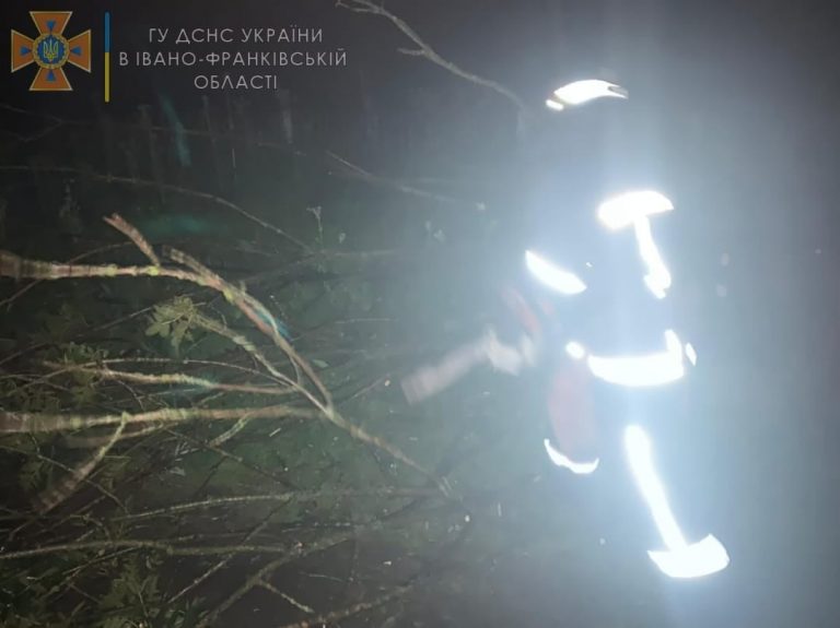 На Прикарпатті через грозу та вітер частково відсутнє електропостачання 4 На Прикарпатті через грозу та вітер частково відсутнє електропостачання