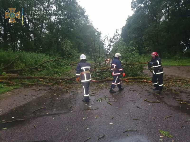 У Рогатині рятувальники розрізали дерева, які впали на дорогу (ФОТО)