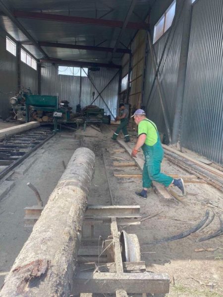 На Долинщині на пилорамі працюють неоформлені робітники (ФОТО)