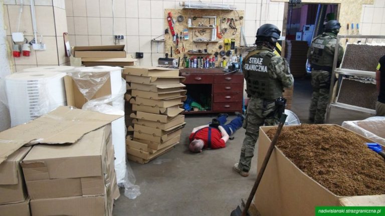 З'явилося відео, як в Польщі викрили підпільну фабрику цигарок: затримали сімох українців (ВІДЕО) 6 905ece4e 9d38 4db2 ae64 d0cddff87292