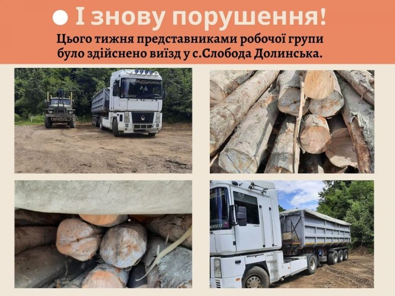 В Долинській громаді продовжують красти ліс (ФОТО) 9 В Долинській громаді продовжують грабувати ліс (ФОТО)