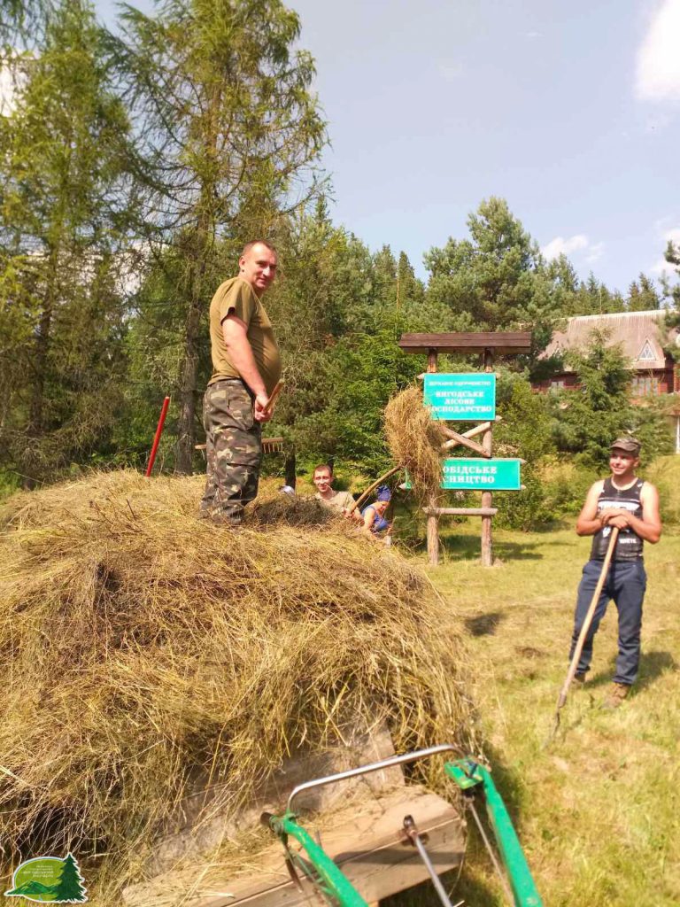 Лісове господарство: стало відомо, скільки заробляють лісівники Прикарпаття