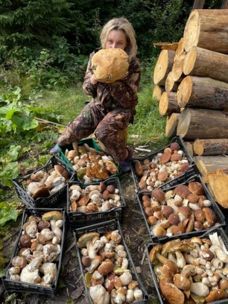 У Карпатах грибники хваляться цьогорічним урожаєм (ФОТО, ВІДЕО)