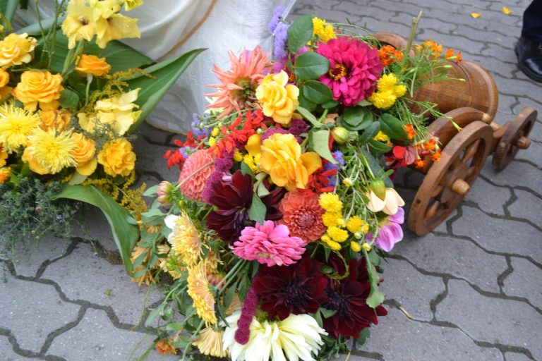 Квітковий вернісаж у Галичі - очей не відвести (ФОТО) 9 242386135 278655357420074 6684187101916436375 n