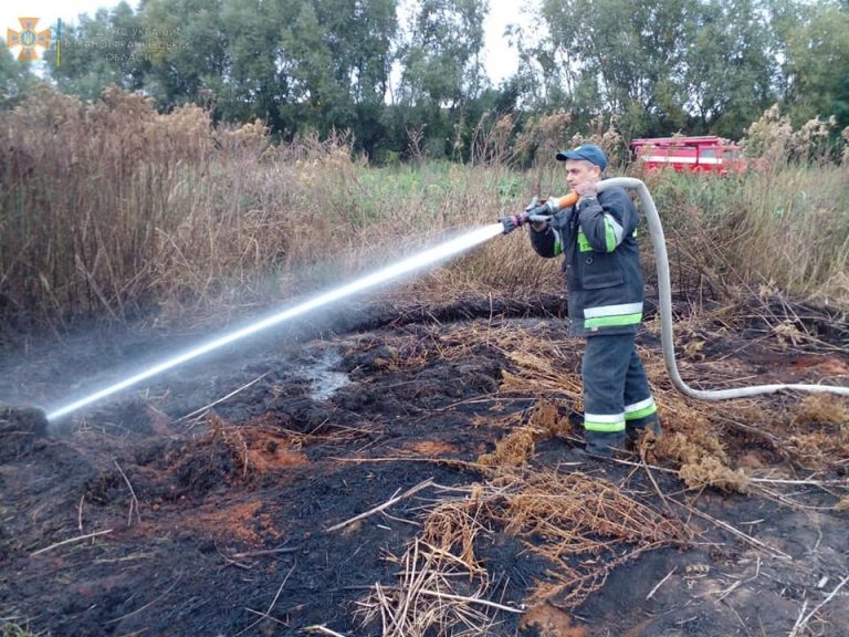 У Бурштинській громаді сталося небезпечне займання торфу: гасили 11 рятувальників