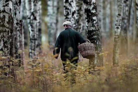 Обстежили 75 гектарів: на Рожнятівщині третій день шукають літнього чоловіка
