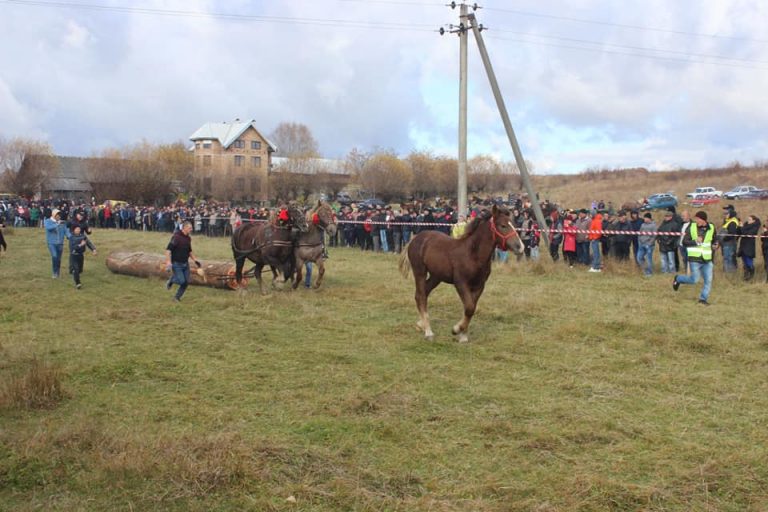 На Коломийщині під звуки народних музик провели традиційні кінні змагання (ФОТО)