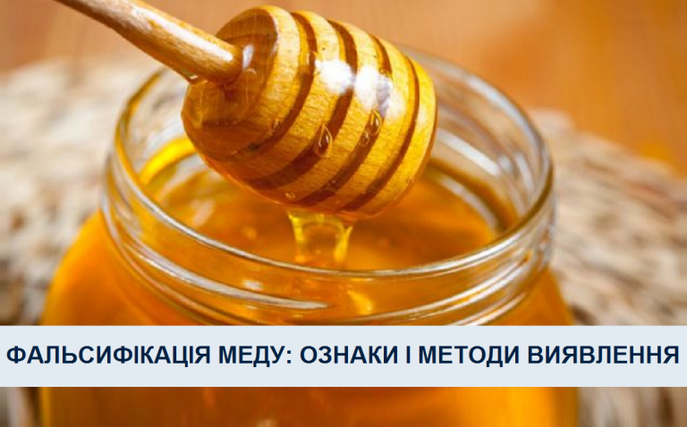 Прикарпатцям розповіли як виявити підроблений мед 7 247238887 1751607755008159 6344838680613559592 n
