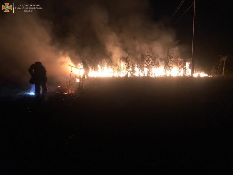За тиждень прикарпатські рятувальники виїжджали на пожежі 60 разів: що горіло (ФОТО) 3 Або військомат, або передова: мер Надвірної закликав "ловити" паліїв сухостою