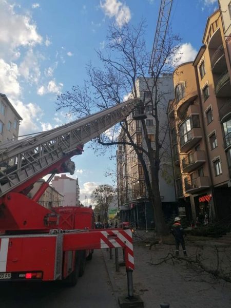 Проблема зрушила з місця: у Франківську демонтували аварійний баштовий кран (ФОТО)