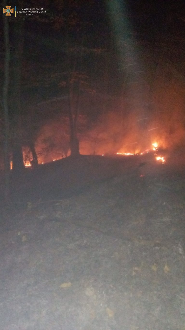 Тлумацькі рятувальники гасили пожежу в лісі (ФОТО)
