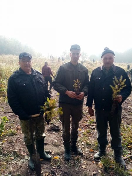 На Тлумаччині висадили понад 4 тисячі дерев (ФОТО)