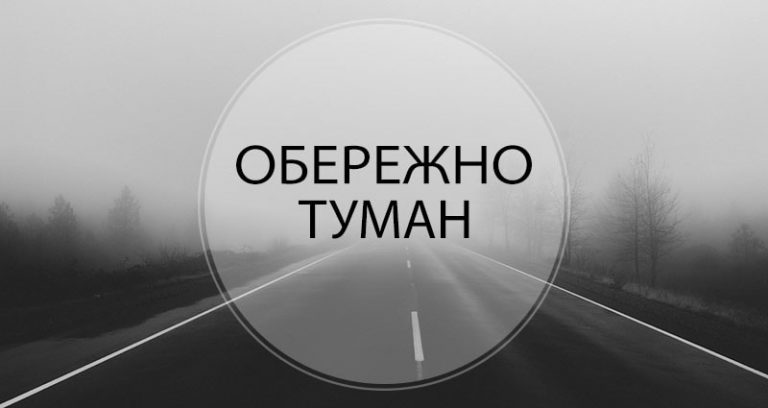 79735279 2753492584741298 5307052729867173888 n
