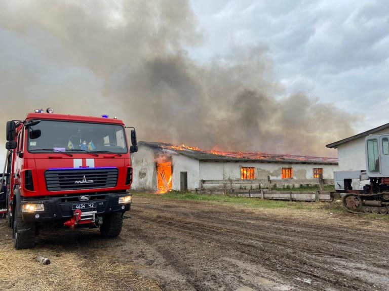 В Стегниківцях на Тернопільщині горіла тваринницька ферма: скільки годин гасили пожежу (ФОТО) 6 В Стегниківцях на Тернопільщині горіла тваринна ферма: скільки годин гасили пожежу (ФОТО)