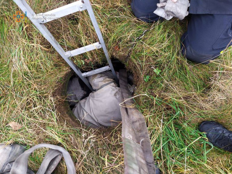 В Львівському районі чоловік два дні шукав теля: де знайшов? (ФОТО)