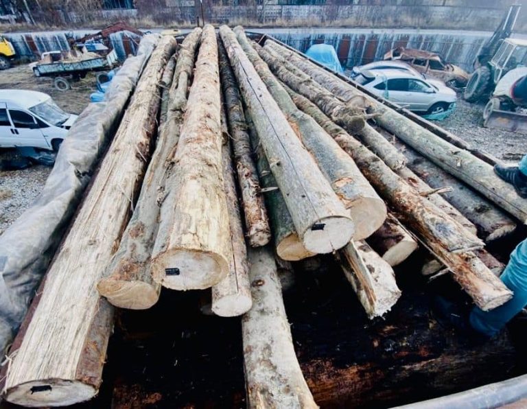 На Прикарпатті затримали вантажівку з незаконно зрубаною деревиною (ФОТО) 9 261044117 6988667767840470 6569870351366312742 n