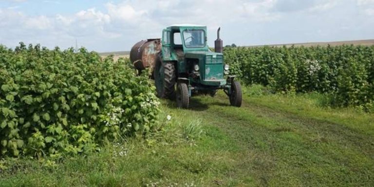 На Рогатинщині служба зайнятості допомогла з кадрами аграрному сектору 11 На Рогатинщині служба зайнятості допомогла з кадрами аграрному сектору