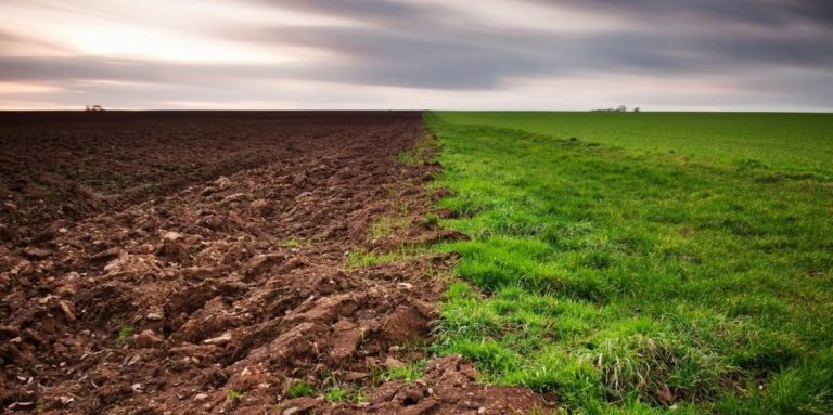 На Калущині громаді повернули 90 гектарів землі