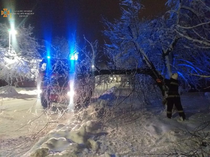 На Франківщині на Андрія на дорогу впали 9 дерев: у яких районах працювали рятувальники (ФОТО)