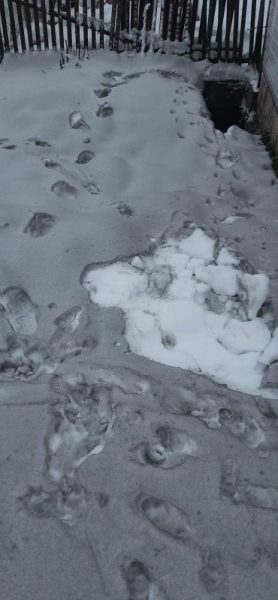На Прикарпатті люди занепокоєні тим, що сніг на вулицях почорнів (ФОТОФАКТ)