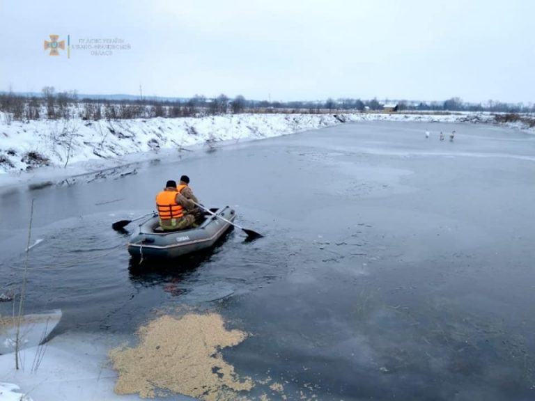 На озері у Калуші врятували трьох лебедів з крижаної пастки (ФОТО) 10 269815177 4642641022522363 7677980559670386340 n