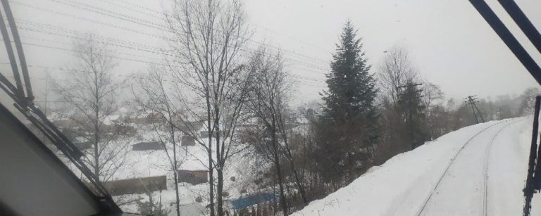 На ділянці залізниці "Ясіня – Рахів" впало дерево: чи відновили рух потягів 3 90fd76dbed078010