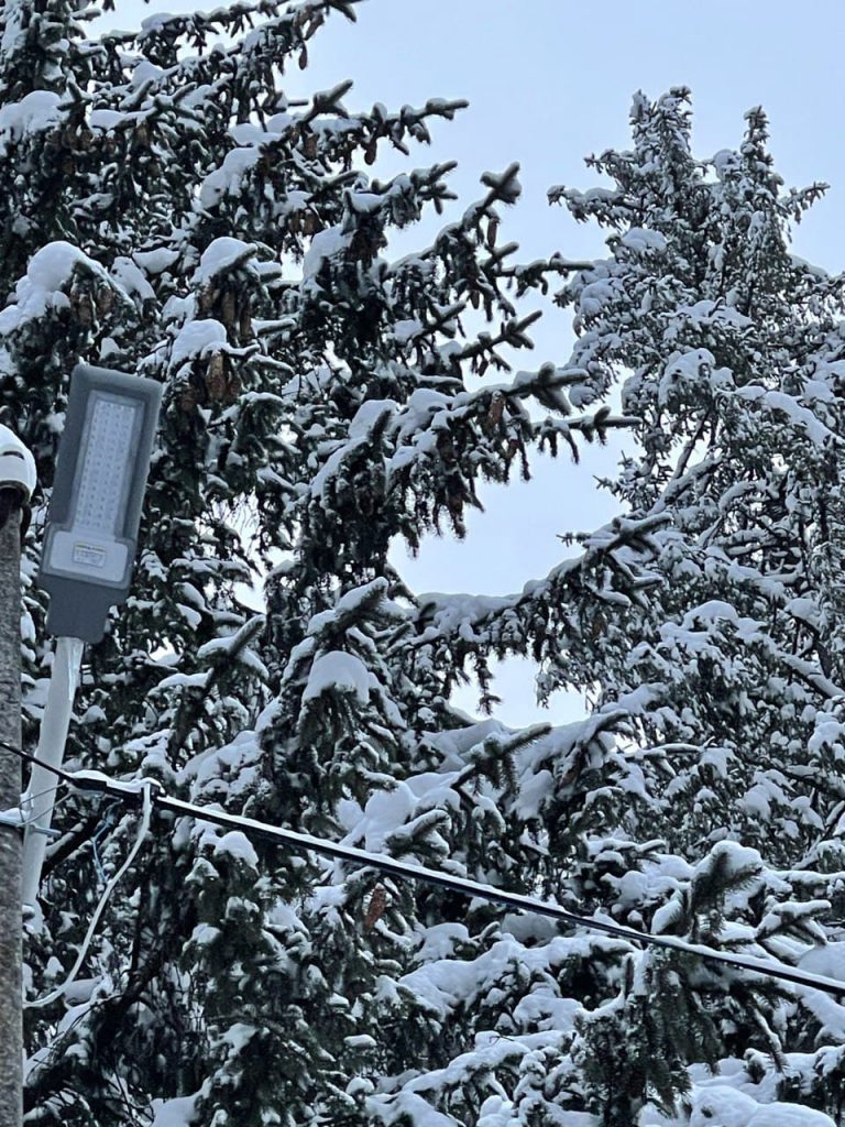photo 2021 12 08 11 06 05
