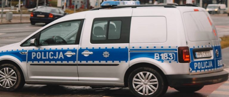 У Польщі затримали молоду українку: обкрадала квартири, в яких прибирала 8 polytsyya mashyna
