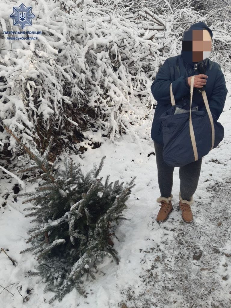 У Львові жінка зрубала молоду ялинку в парку (ФОТО) 3 varta1.com .ua photo 2021 12 06 10 53 56