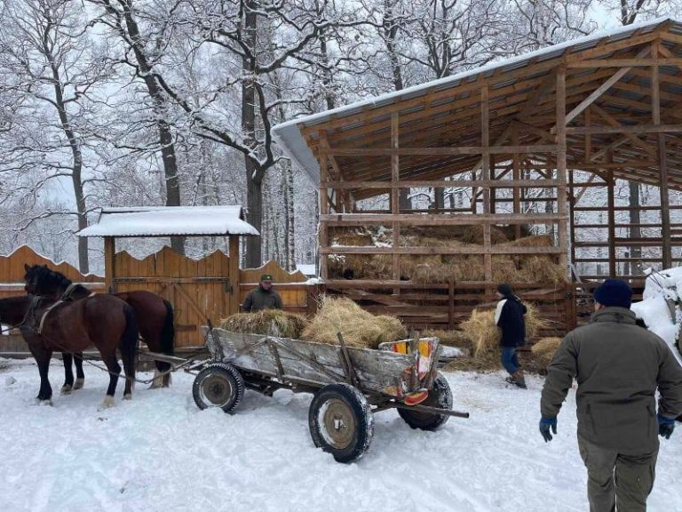 На Прикарпатті для диких тварин заготовили понад 100 тонн харчів (ФОТО) 11 z0